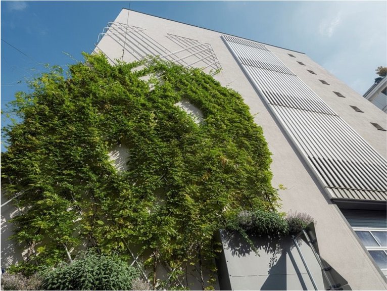 Living Walls